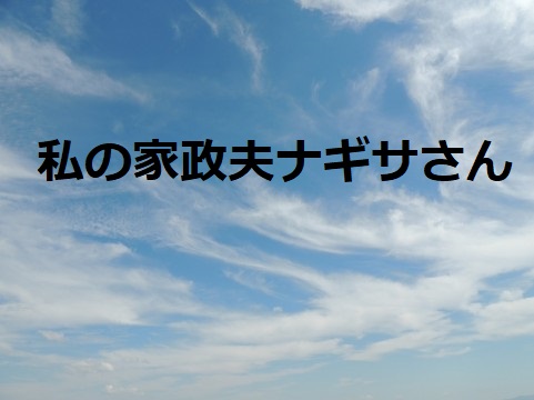 私の家政夫ナギサさん 4話あらすじと視聴率 結婚のイメージができないメイの迷い ドラマ情報ネット